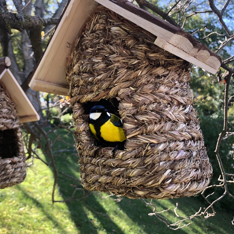 Natural 9.9 in x 8 in x 5 in Birdhouse