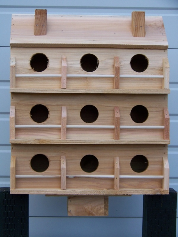 Nigol 22 in x 18 in x 8 in Purple Martin House