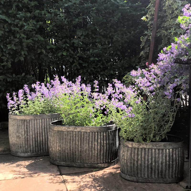 Rustic Metal Planters Set of 3