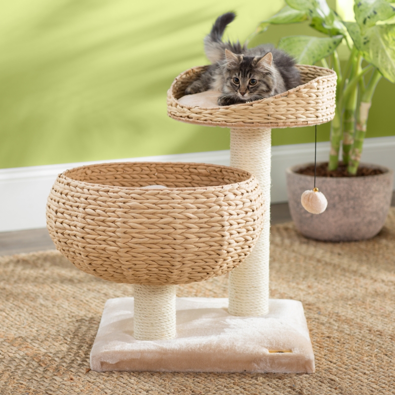 Eco Friendly Cat Tree