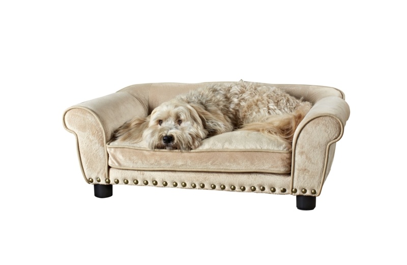 Nusbaum Dog Sofa