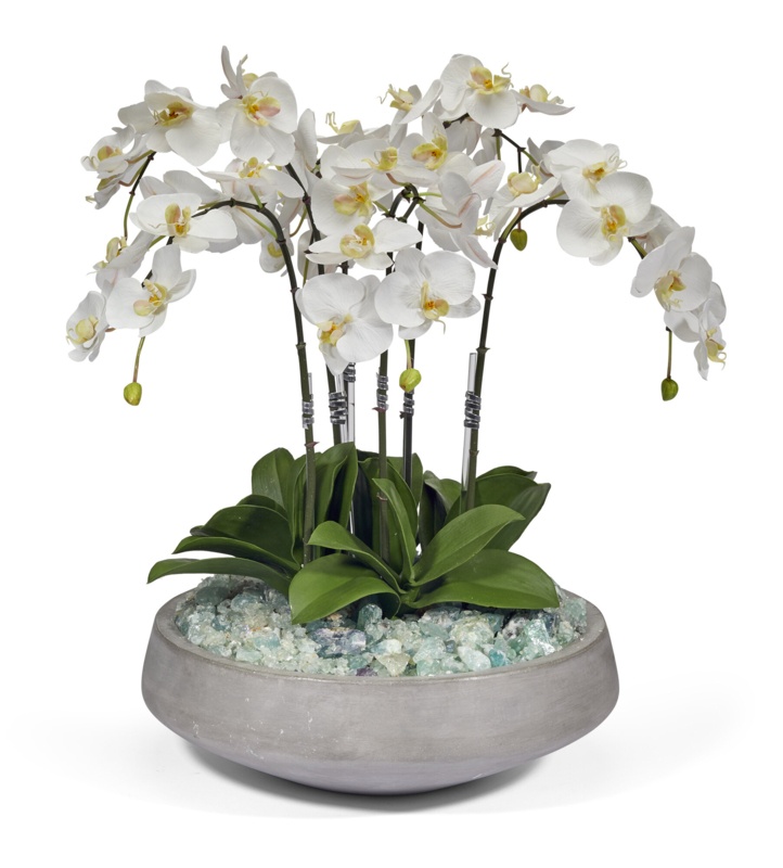 Orchids Floral Arrangement in Pot