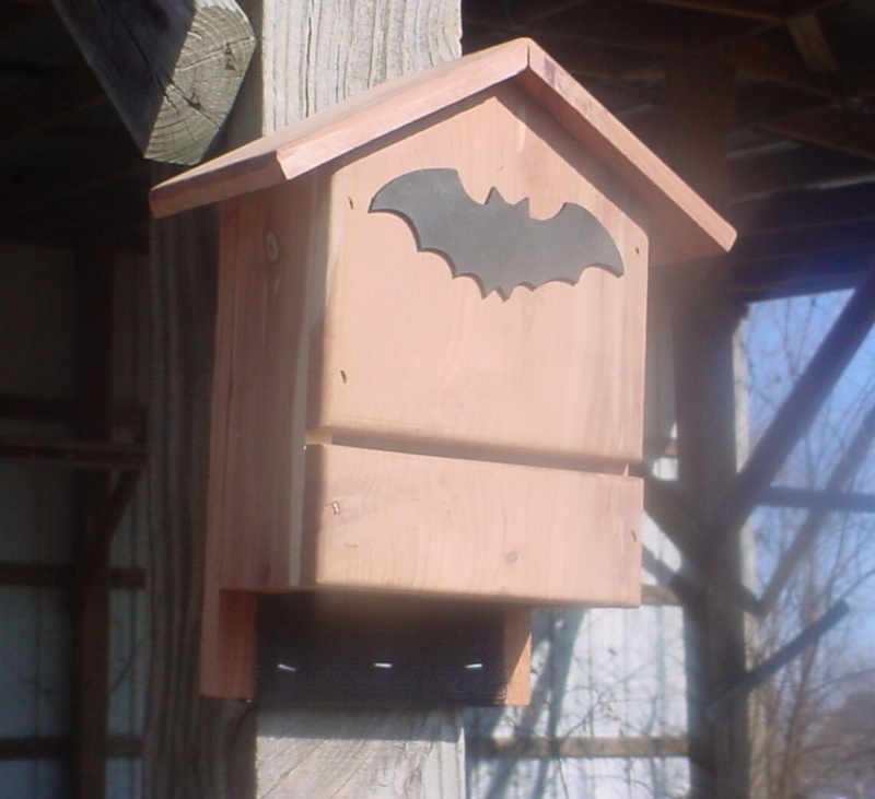 Pabon 13 in x 11 in x 5 in Bat House