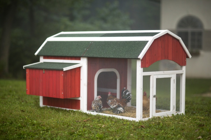 Pavlof 22.2 Square Feet Chicken Coop with Chicken Run