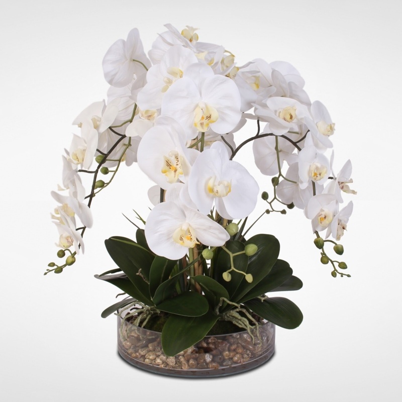Phalaenopsis Orchid and Vanilla Grass Bush Floral Arrangement in Vase