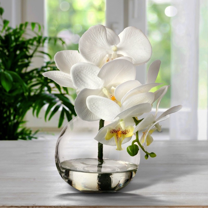 Phaleanopsis Orchids Floral Arrangement in Jar