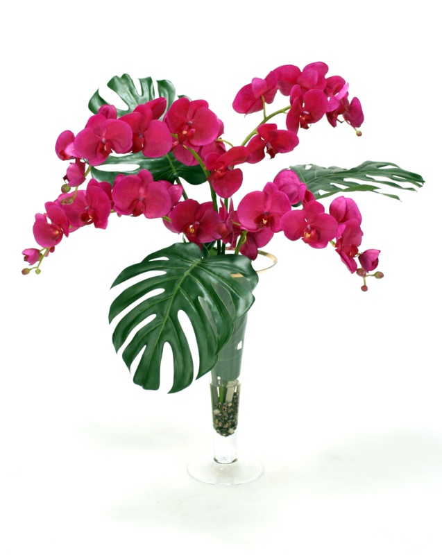 Philo Leaves, Orchid Phaleonopsis in Trumpet Vase with Trim