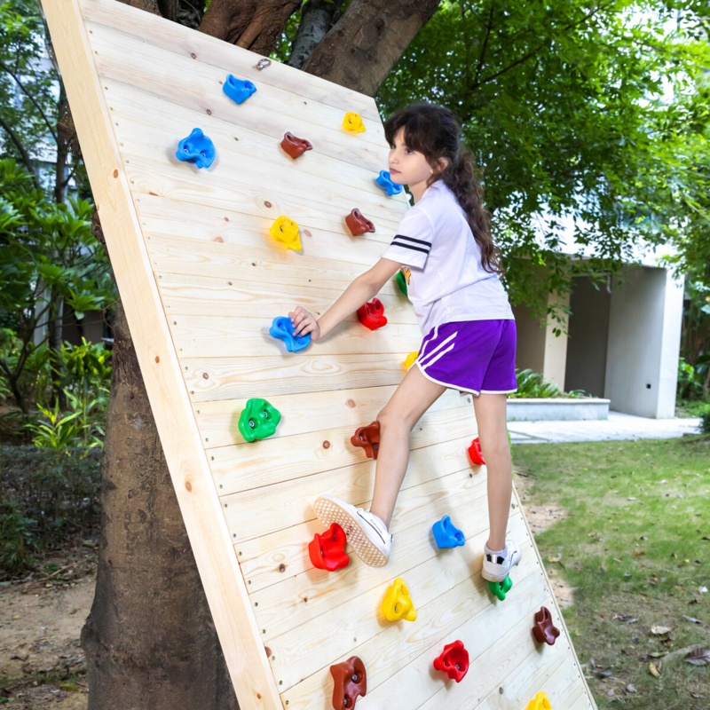 Plastic Climbing Rocks
