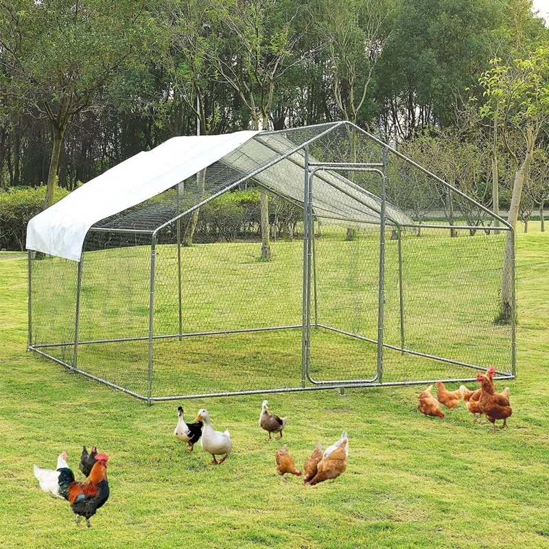 Ridinger 65 Square Feet Chicken Run