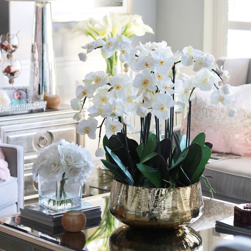 Roberi Orchid Stems Planter