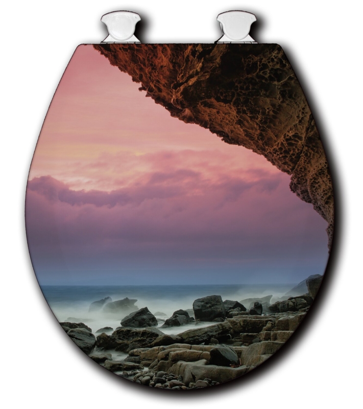 Artistic Composite Toilet Seat