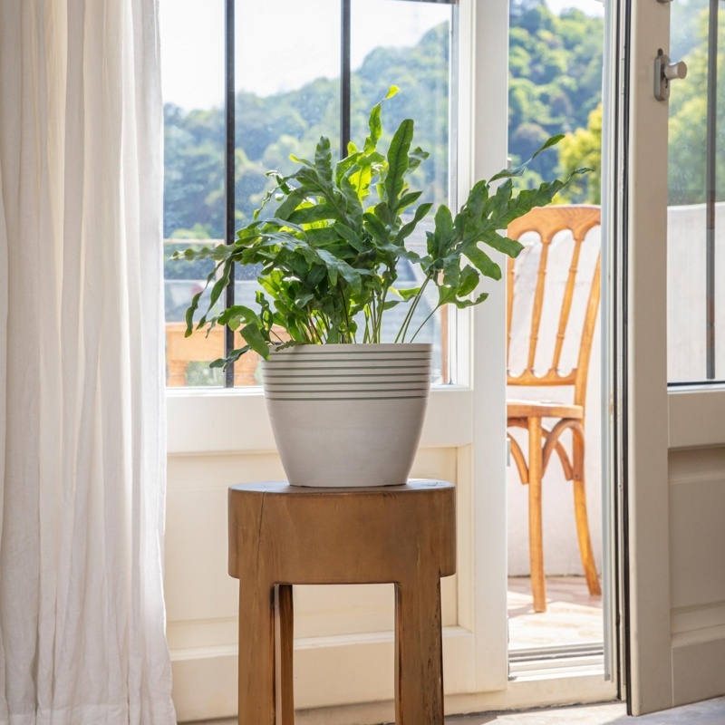 Schermbeck Plastic Pot Planter