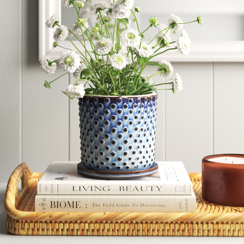 Shalisa Ceramic Pot Planter