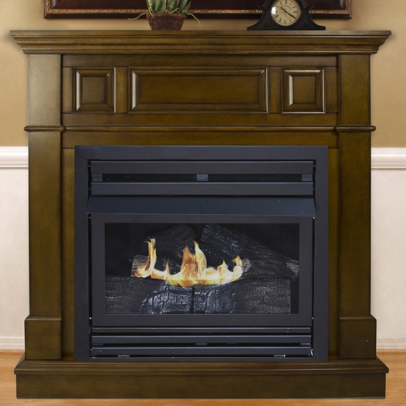 Shawnda Vent Free Fireplace