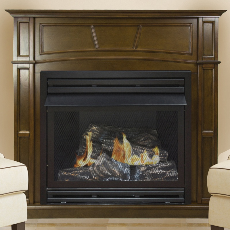 Shawnta Vent Free Natural Gas/Propane Fireplace