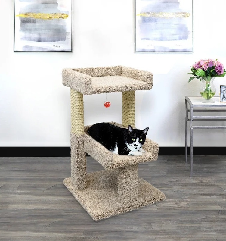 Short cat condo for large cat