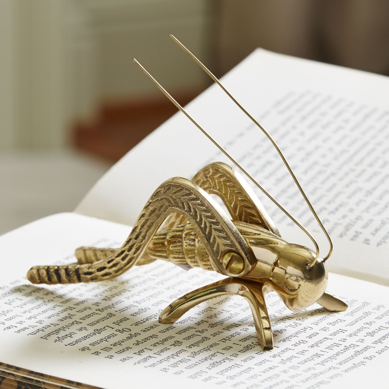Silikou Brass Cricket
