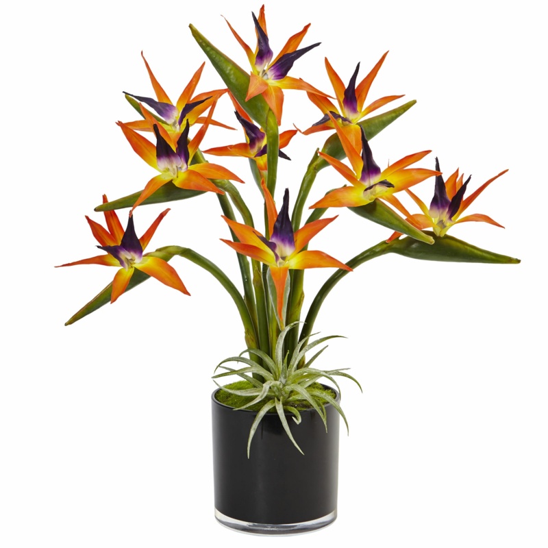 Silk Bird of Paradise Floral Arrangement in Planter