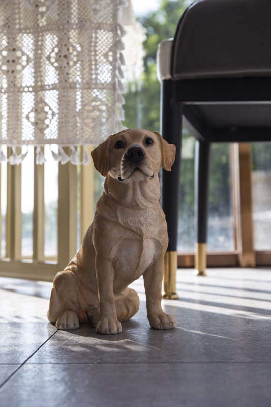Sitting Labrador