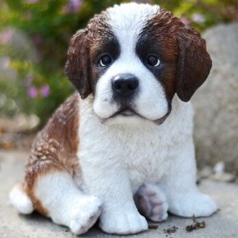 Sitting Saint Bernard Puppy Statue