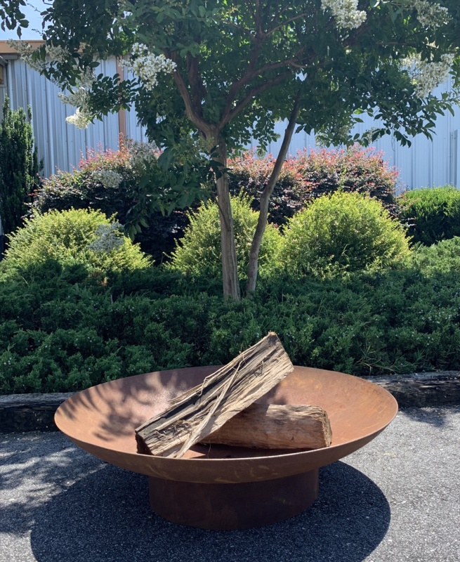 Song 11.25'' H x 31.5'' W Steel Wood Burning Outdoor Fire Pit