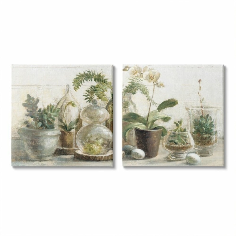 Succulent House Plants Country Charm Green Brown by Danhui Nai - 2 Piece Graphic Art