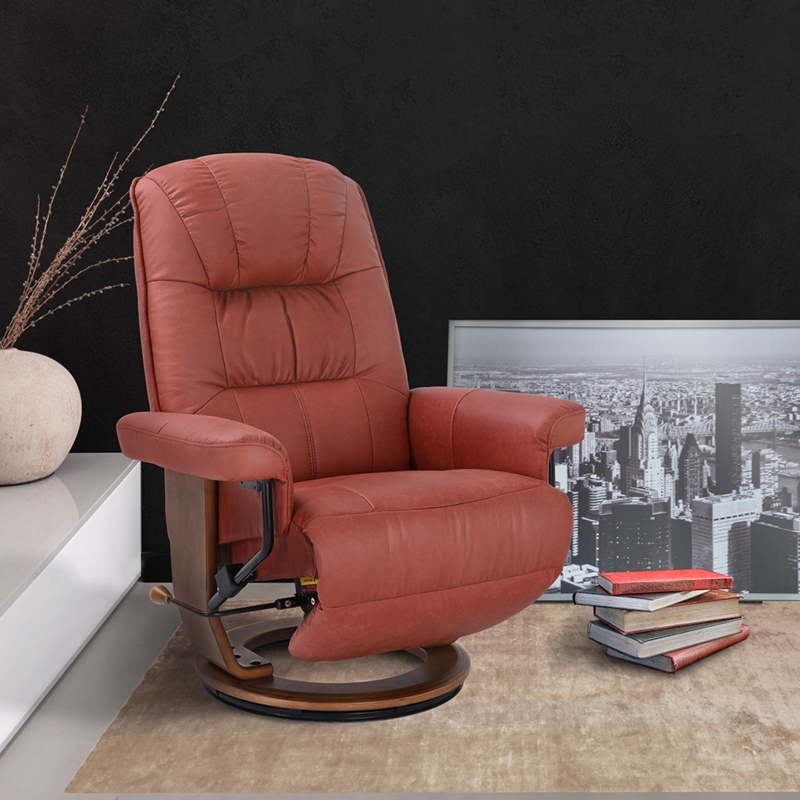Scandinavian Euro Recliner Relax in Style