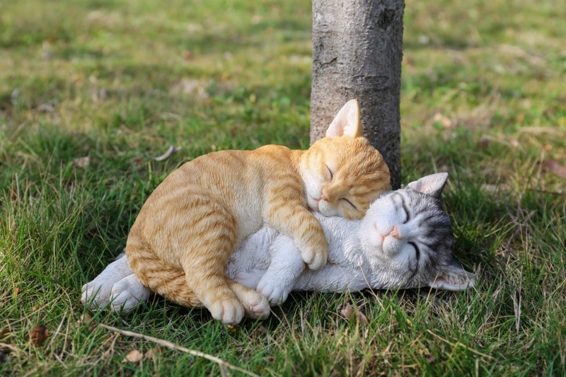 Tabby Cats Sleeping Statue