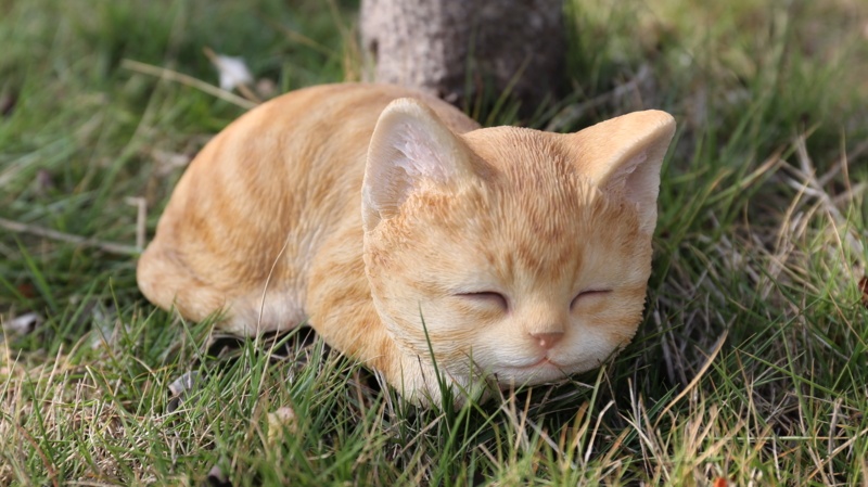 Tabby Kitten Sleeping Statue