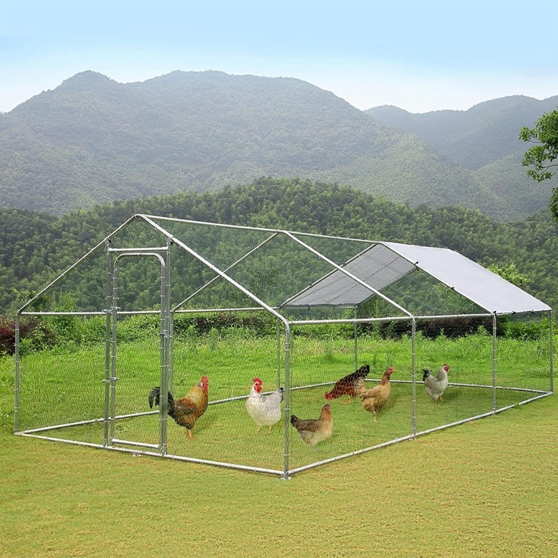 Tashina 62.7 Square Feet Chicken Run