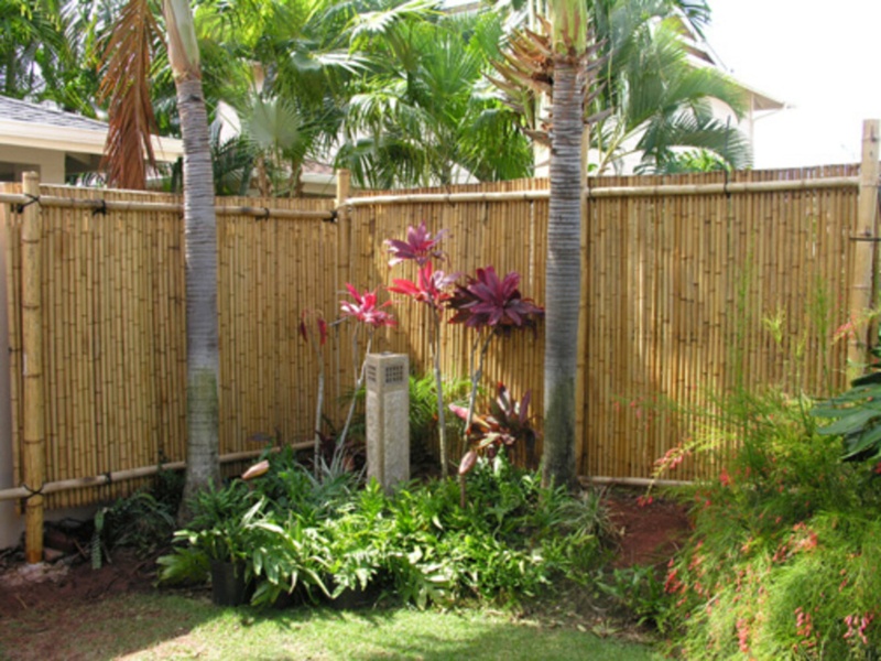 Tonkin Bamboo Fencing