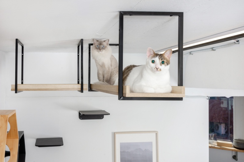 Tucker Murphy Pet™ Avenue 23.5 In. Black Wall-Mounted Cat Walkway Superhighway