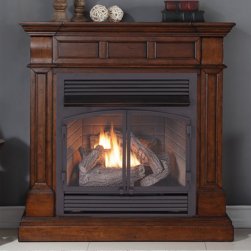 Vent Free Freestanding Natural Gas/Propane Fireplace