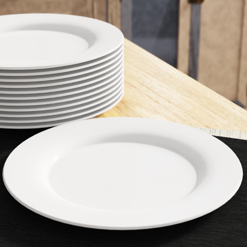 Wayfair Basics® 10.5" Catering Packs Round Dinner Plate