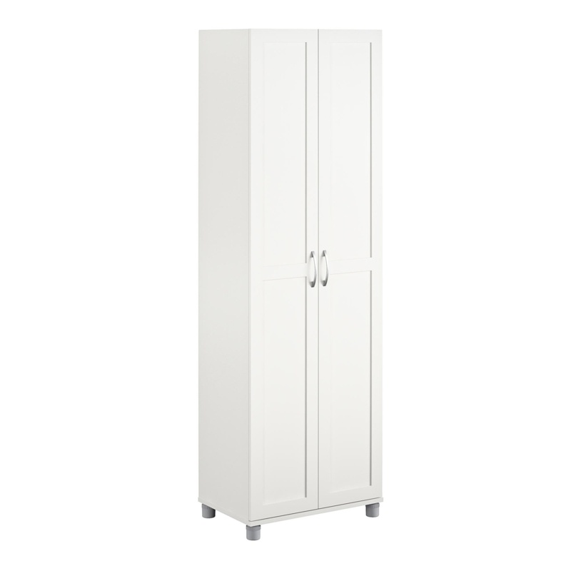 Wayfair Basics® 75'' H x 23.7'' W x 15.39'' D Framed Storage Cabinet