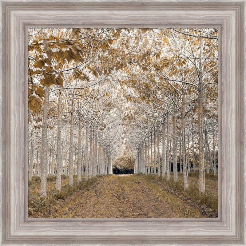 White Gold by Assaf Frank - Picture Frame Print