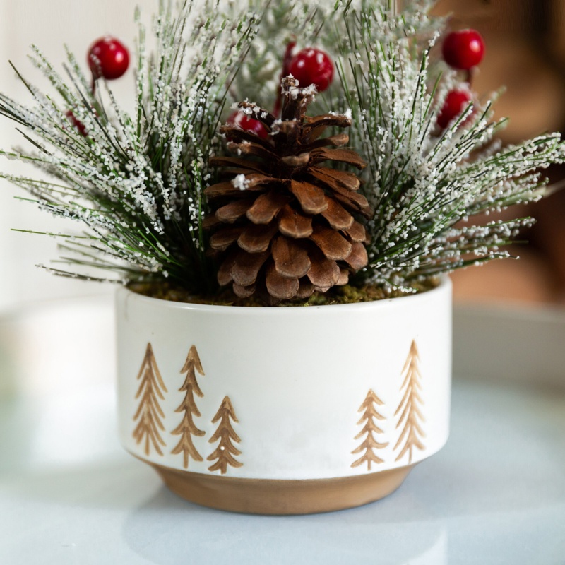 Xmas Mixed Floral Arrangement in Pot
