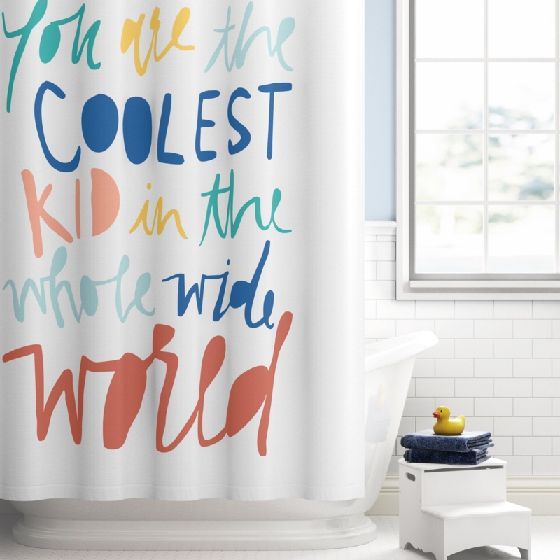 Shower Stall Curtain