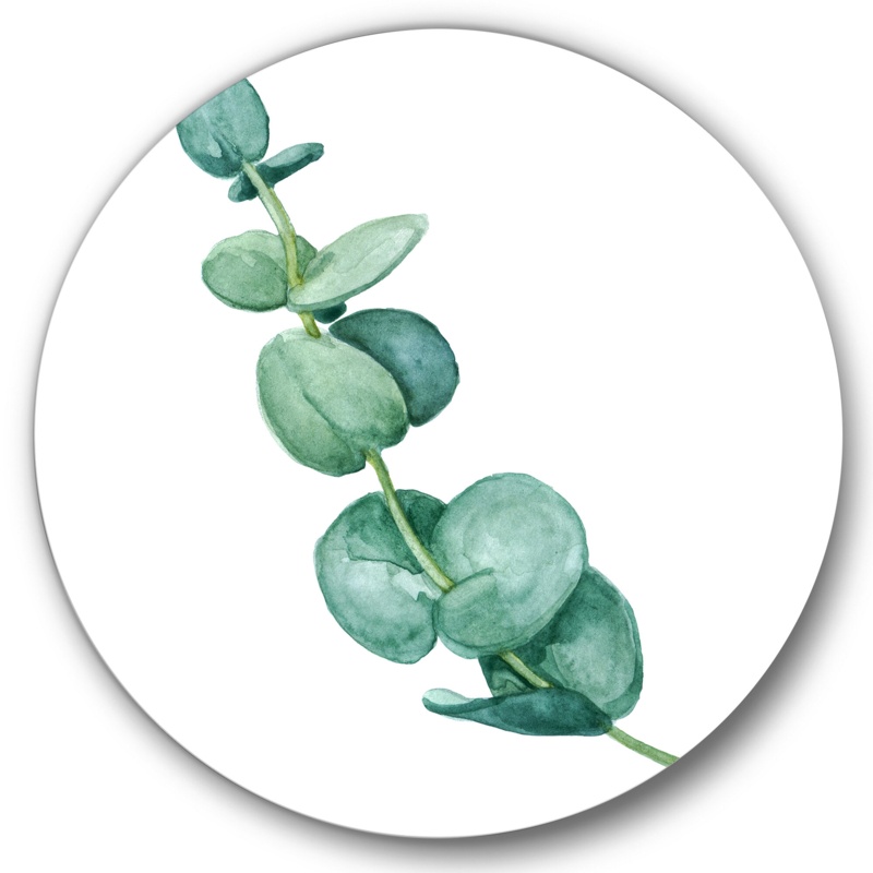 Young Eucalyptus Leaves And Branches II - Unframed Painting on Metal