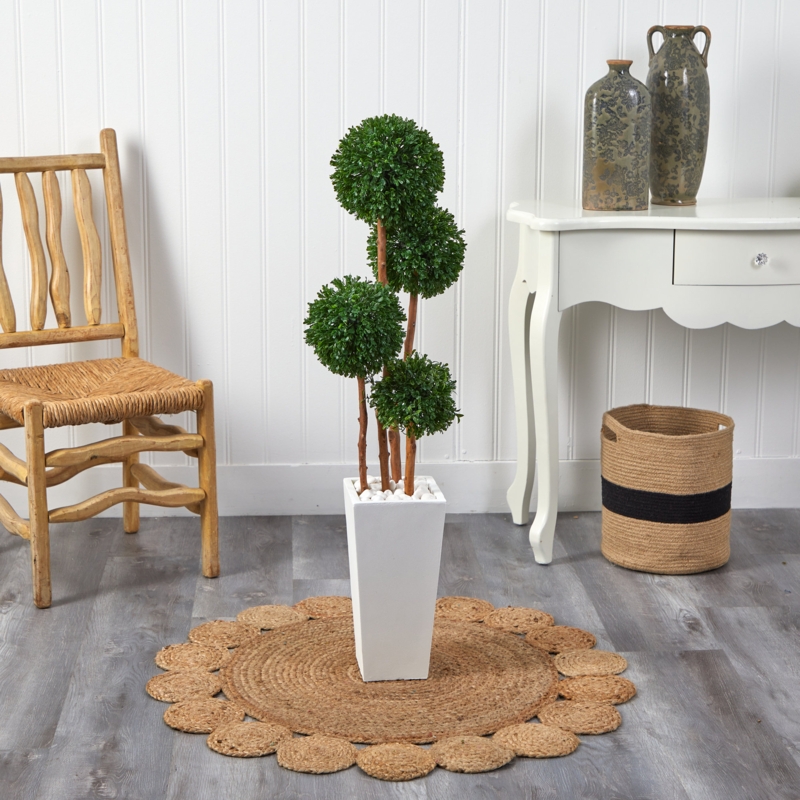 Boxwood Topiary in White Planter