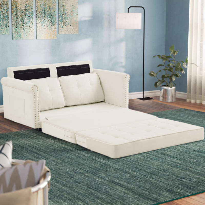 Versatile Loveseat Sleeper Sofa