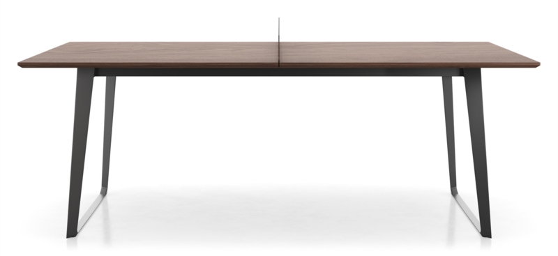 Junior Ping Pong Table with Removable Net