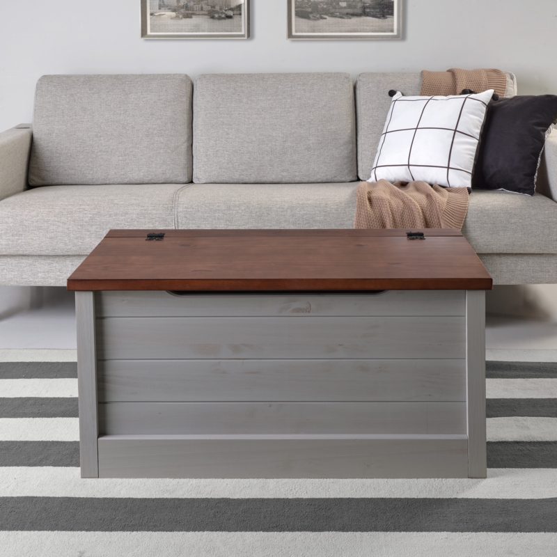 Antique-Modern Contrast Storage Chest