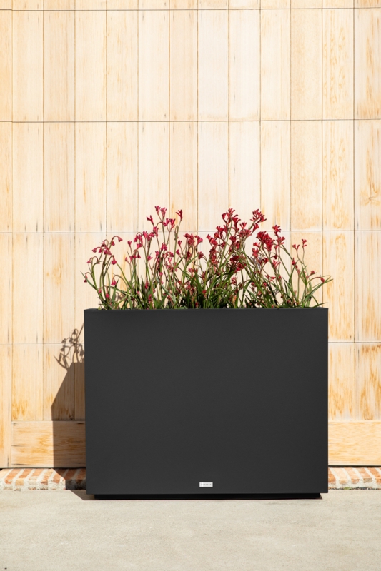 Sleek Tall Planter with Removable Insert