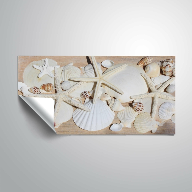 Large Seashell Ocean Treasures Reproduction
