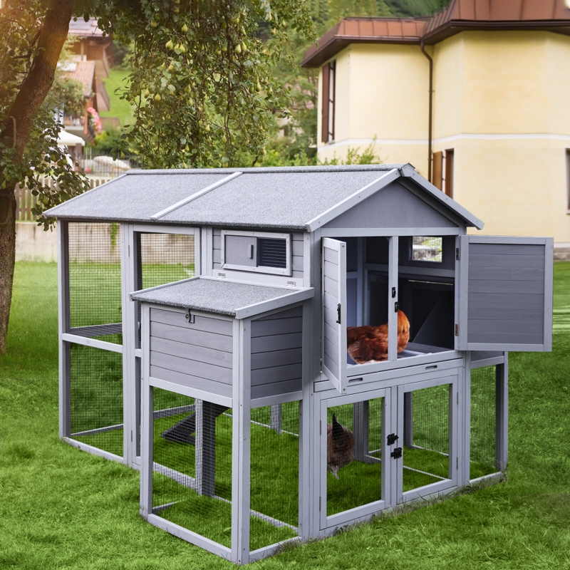 Multi-Level Chicken House with Nesting Box