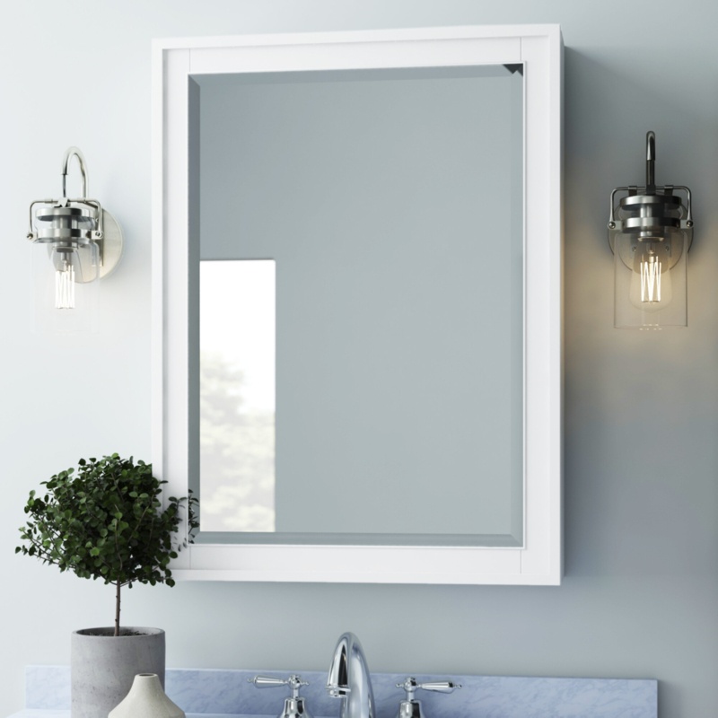 Charley W H Surface Framed Medicine Cabinet with Mirror and 3 Fixed Shelves