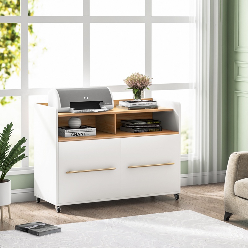 Wasili 39.37'' Wide 2 -Drawer Mobile File Cabinet