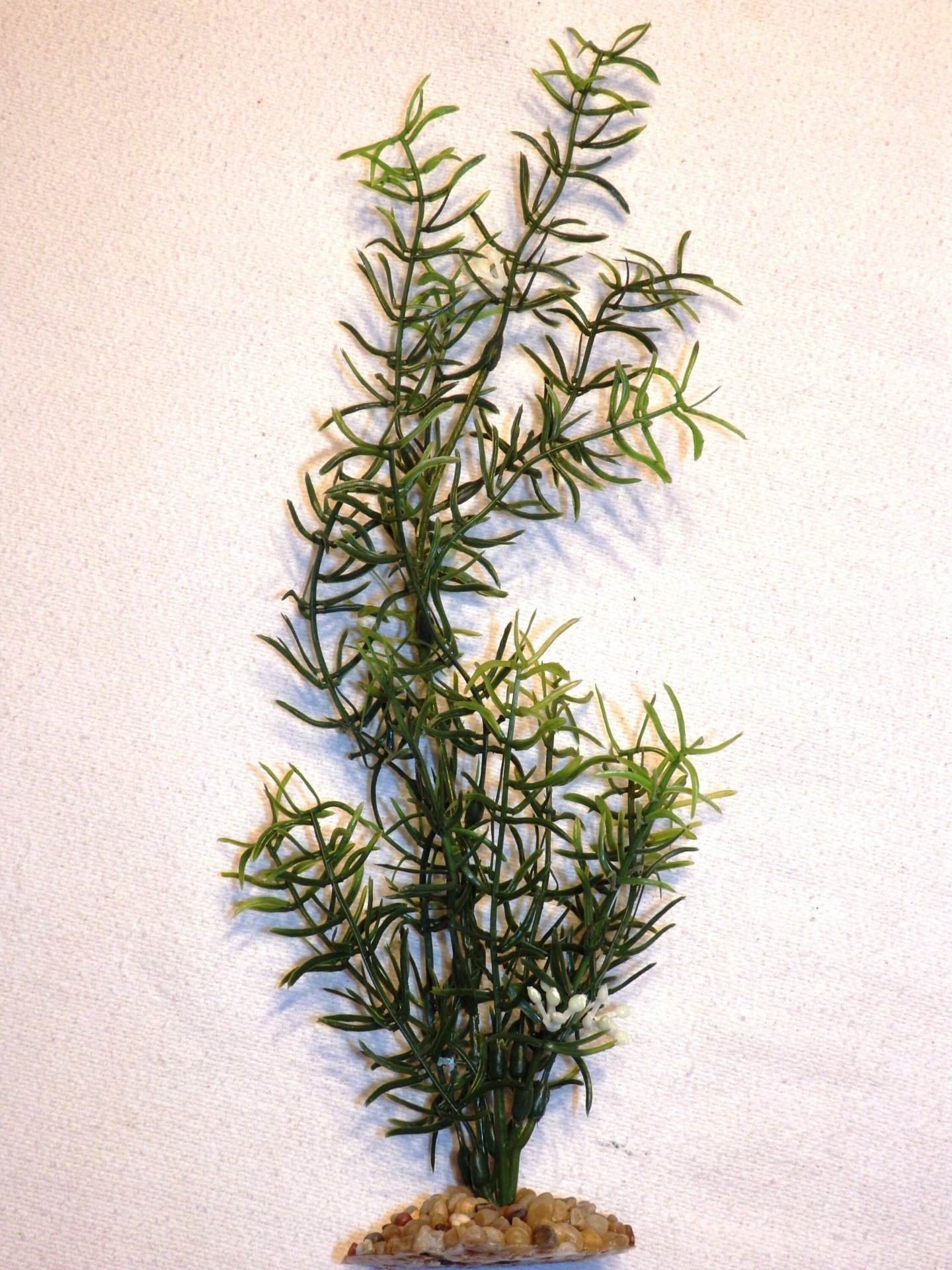 "12\" SMALL Diti-Sprengeri, little White Flowers (flows -not wired) Artificial Fish Aquarium plastic plant, stone base, flows easily in water"