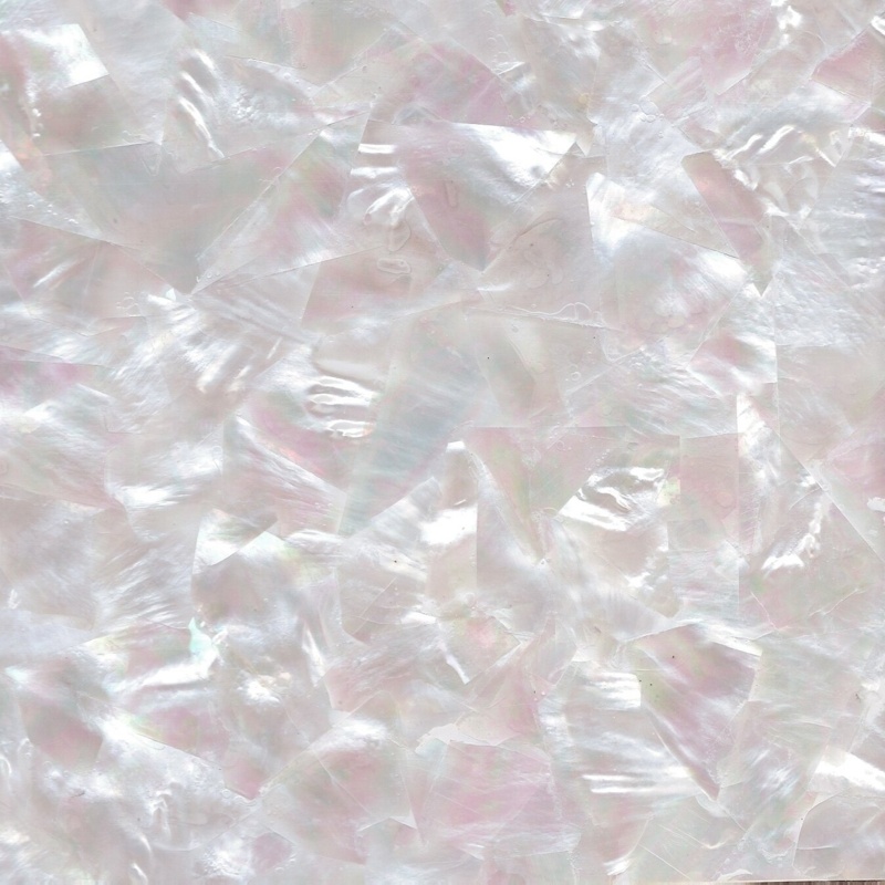 2'' x 2'' Natural Shell Decorative Tile Insert